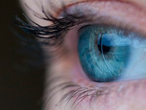 Retina clínica e cirúrgica